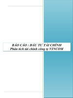 Báo cáo đầu tư tài chính - Phân tích tài chính công ty VINCOM