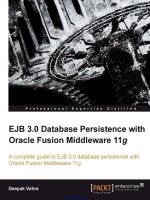 ejb 3.0 database persistence