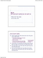 Định giá doanh nghiệp dựa vào ngân lưu Phân tích Tài chính