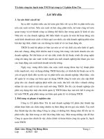 tổ chức hạch toán tscđ tại công ty cổ phần kim tín