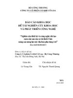 Nghiên cứu thiết kế công nghệ chế tạo cụm cầu sau của xe tải dưới 3 tấn nâng cao năng lực nội địa hoá phụ tùng ô tô