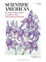 scientific american   -  1995 06  -  the world's strongest magnets