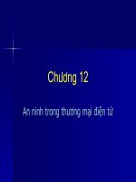 chương 12 an ninh trong mạng thương mại
