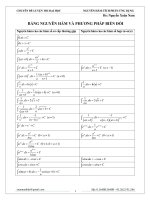 phương pháp tính nguyên hàm -tích phân