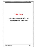 Tiểu luận: Môi trường pháp lý về tự vệ thương mại tại Việt Nam