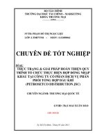 thực trạng và giải pháp hoàn thiện quy trình tổ chức thực hiện hợp đồng nhập khẩu tại công ty cổ phần dịch vụ phân phối tổng hợp dầu khí (petrosetco distribution jsc)