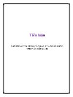 Tiểu luận: Sản phẩm tín dụng cá nhân của ngân hàng TMCP Á CHÂU (ACB)