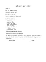 Phân tích và đánh giá hoạt động của Massan Consumer giai đoạn 2009 - 2013