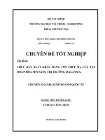 thúc đẩy xuất khẩu hàng tôn thép mạ của tập đoàn hoa sen sang thị trường malaysia