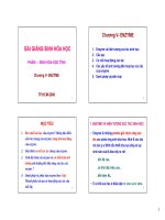 SINH HÓA HỌC TĨNH   chương 5 ENZYME