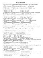 ÔN tập hóa học lớp 11 cơ bản