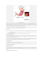 Bệnh dạ dày phòng ngừa và điều trị