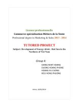 Phát triển sản phẩm nước tăng lực REDSUN ở thị trường miền bắc