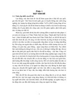 thực trạng chuyển dịch cơ cấu lao động ở thành phố huế, tỉnh thừa thiên huế - nghiên cứu trường hợp tại phường hương sơ