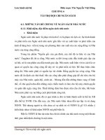 tài trợ bội chi ngân sách