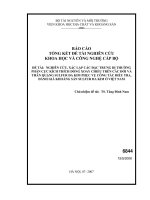 Nghiên cứu xác lập các đặc trưng dị trường phân cực kích thích dòng xoay chiều trên các đối và thân quặng sulfur đa kim phục vụ công tác điều tra đánh giá khoáng sản sulfur đa kim ở việt nam
