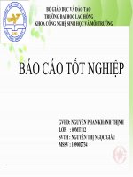 BÁO CÁO TỐT NGHIỆP CÔNG TY CỔ PHẦN PHÁT TRIỂN TÍN NGHĨA