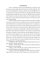 hoàn thiện công tác lập và phân tích bảng cân đối kế toán tại công ty tnhh thương mại và xây dựng thuận thiên