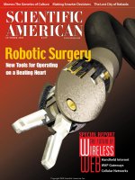 scientific american   -  2000 10  -  robotic surgery