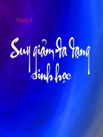 Bài giảng Bảo tồn đa dạng sinh học: Chương 4 -  Viên Ngọc Nam