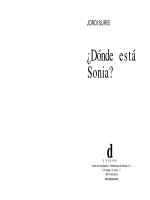 donde esta sonia (nivel 1)