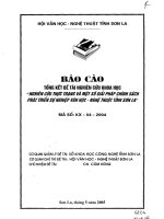 Nghiên cứu thực trạng và một số giải pháp chính sách phát triển sự nghiệp văn học nghệ thuật tỉnh sơn la