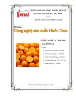 Công nghệ sản xuất Nước Cam