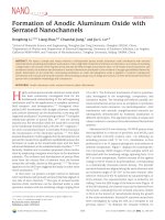 formation of anodic aluminum oxide