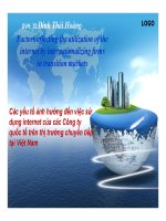 Báo cáo các yếu tố ảnh hưởng đến việc sử dụng internet của các công ty quốc tế trên thị trường chuyển tiếp tại việt nam
