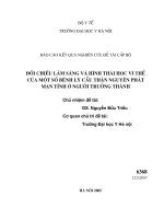 Đề tài : Đối chiếu lâm sàng và hình thái học vi thể của một số bệnh lý cầu thận nguyên phát mạn tính ở người trưởng thành