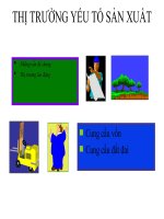 thị trường yếu tố sản xuất