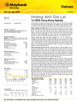 Hoàng anh gia lai  từ bất động sản sang nông nghiệp