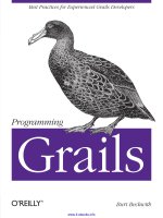 programming  grails