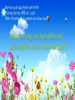 Sinh viên trường đại học Kinh tế - Luật và kỹ năng lãnh đạo trong nhóm học tập