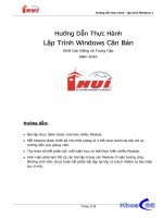 Hướng dẫn thực hành - Lập trình Windows 1