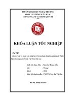Quản trị rủi ro nhằm cân bằng lợi ích trong hoạt động tín dụng tại các ngân hàng thương mại cổ phần việt nam hiện nay