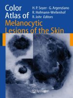 color atlas of melanocytic lesions of the skin  -  h. soyer, et al., (springer, 2007)