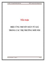 Tiểu luận: Hiệu ứng truyền dẫn tỷ giá trong các thị trường mới nổi
