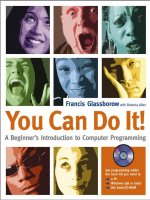 a beginner’s introduction to computer programming you can do it!
