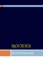 mạch máu chi dưới