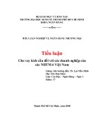 Tiểu luận: Cho vay kích cầu đối với các doanh nghiệp của các NHTM ở Việt Nam