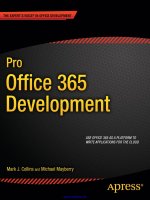 pro office 365 development