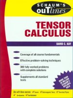 schaum's outline of theory and problems of tensor calculus