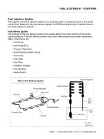 fuel injection system