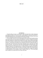 nghiên cứu, đánh giá và quyết định đầu tư tài sản cố định tại công ty cổ phần lilama 45-3