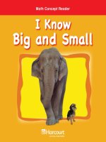 Math Concept Reader MCR prek i know big and small