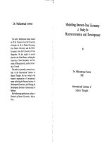 modelling interest-free economy a study in macroeconomics and development