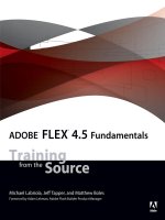 adobe flex 4.5 fundamentals [electronic resource] training from the source