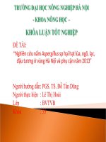PPT Báo cáo khóa luận: Nghiên cứu nấm Aspergillus sp hại hạt lúa, ngô, lạc, đậu tương ở vùng Hà Nội và phụ cận năm 2013