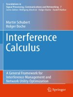 interference calculus a general framework for interference management and network utility optimization